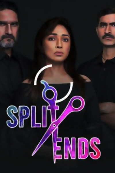 Póster de Split Ends