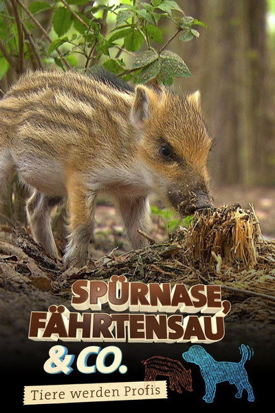 Póster de Spürnase, Fährtensau & Co.