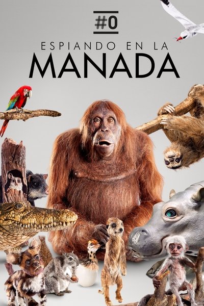 Póster de Spy in the Wild