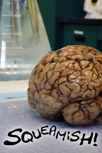 Póster de Squeamish!