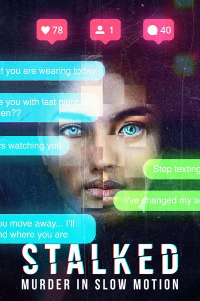 Póster de Stalked: Murder in Slow Motion