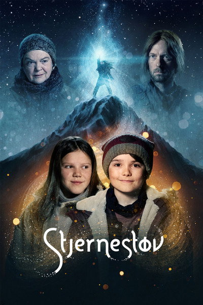 Póster de Stardust