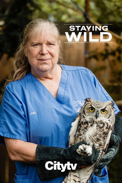 Póster de Staying Wild