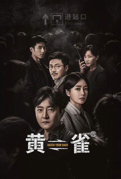 Póster de Stealing Time