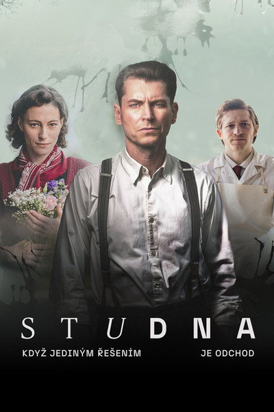 Póster de Studna