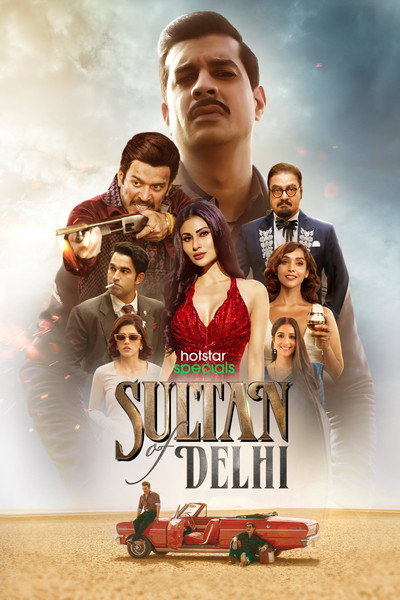 Póster de Sultan of Delhi