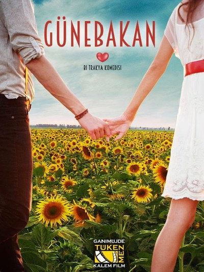 Póster de Sunflower
