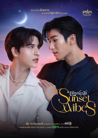 Póster de Sunset Vibes