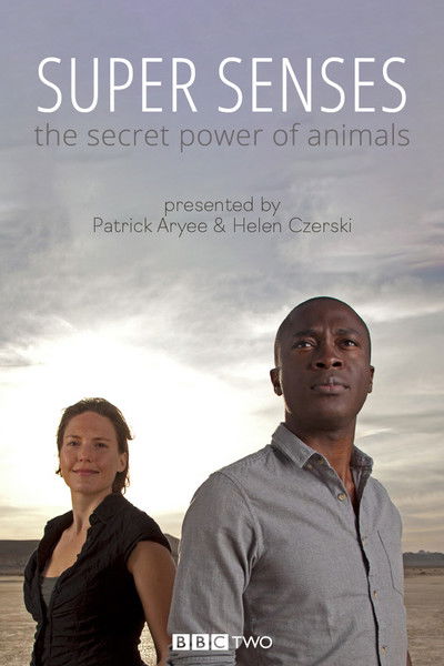 Póster de Super Senses: The Secret Power of Animals