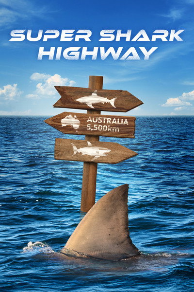 Póster de Super Shark Highway