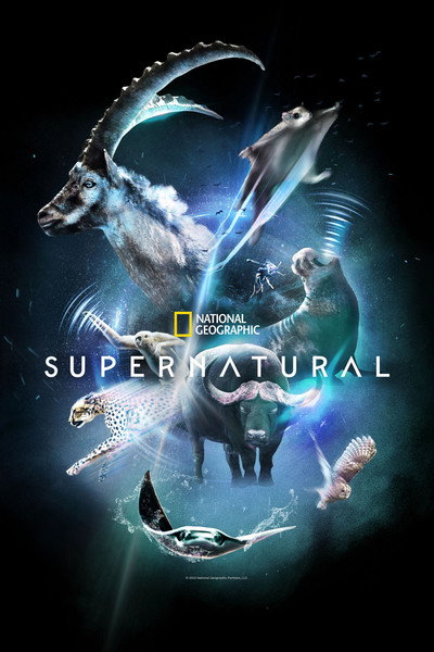 Póster de Super/Natural