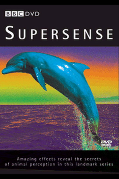 Póster de Supersense