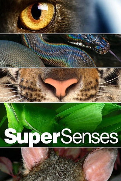 Póster de Supersenses