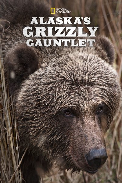 Póster de Supervivencia en Alaska, con Les Stroud