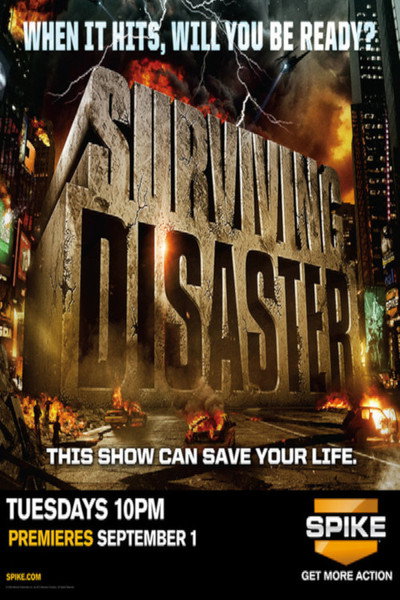 Póster de Surviving Disaster