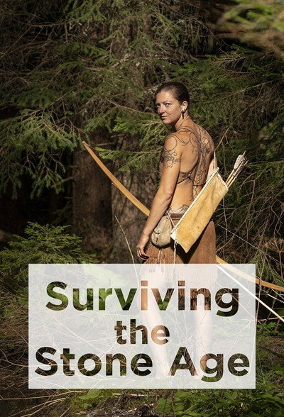 Póster de Surviving the Stone Age: Adventure to the Wild