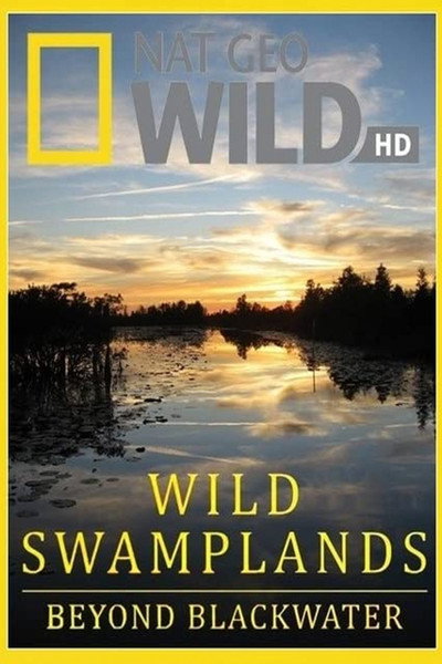 Póster de Swamplands USA