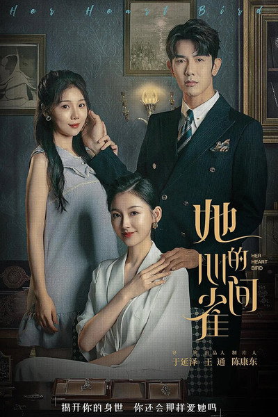 Póster de Ta De Xin Jian Que