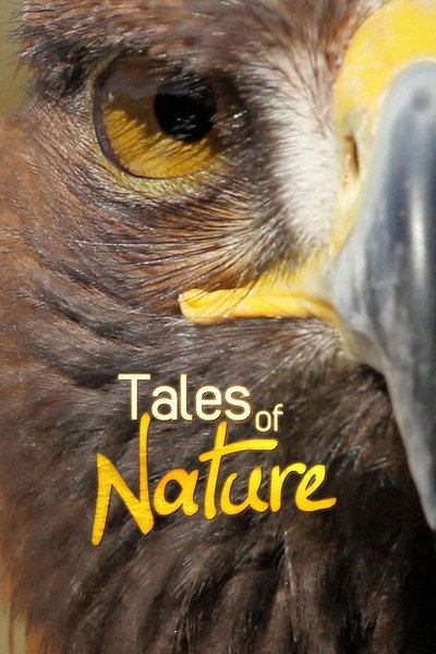 Póster de Tales of Nature