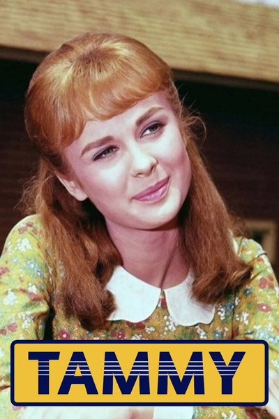 Póster de Tammy