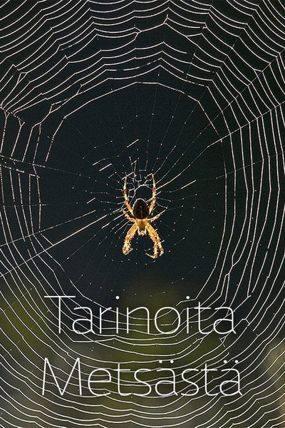 Póster de Tarinoita metsästä