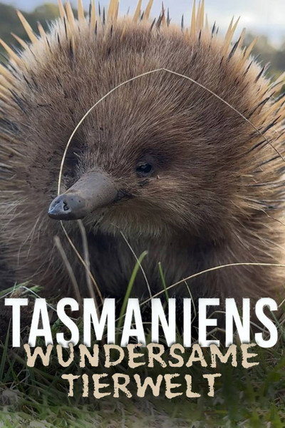 Póster de Tasmaniens wundersame Tierwelt