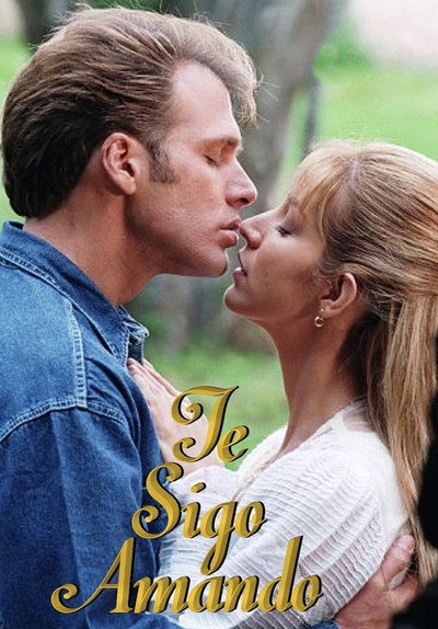 Póster de Te sigo amando
