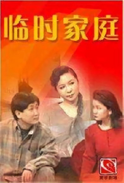 Póster de Temporary Family