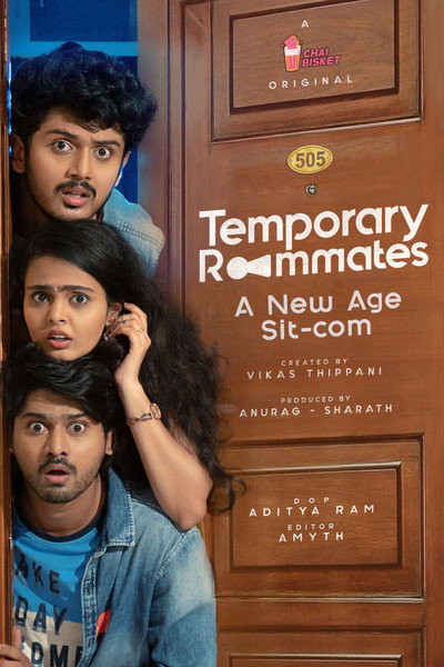 Póster de Temporary Roommates