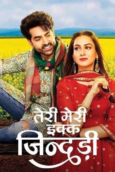 Póster de Teri Meri Ikk Jindri