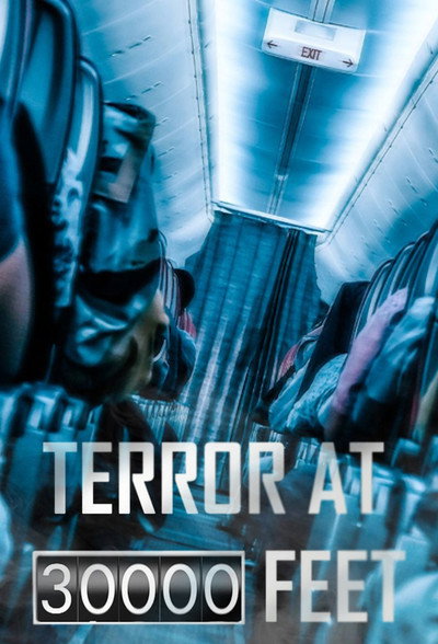 Póster de Terror at 30,000 Feet