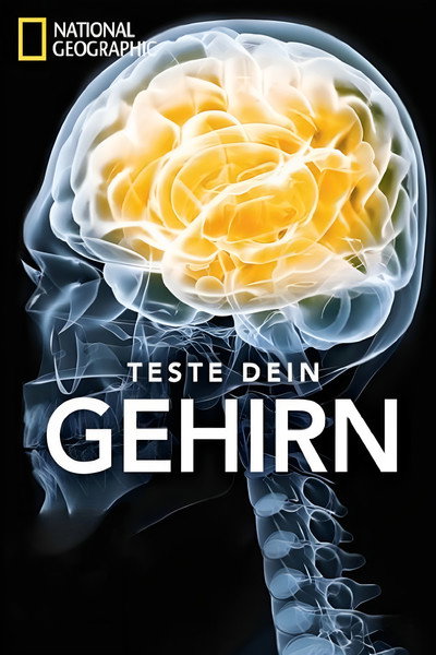 Póster de Test Your Brain