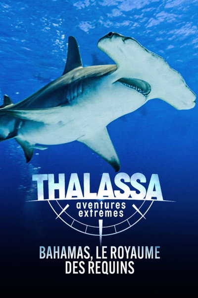 Póster de Thalassa, aventures extrêmes