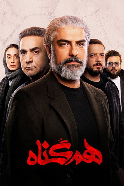 Póster de The Accomplice
