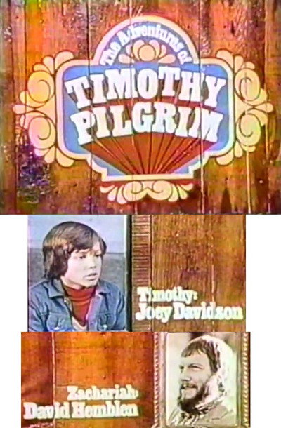 Póster de The Adventures of Timothy Pilgrim