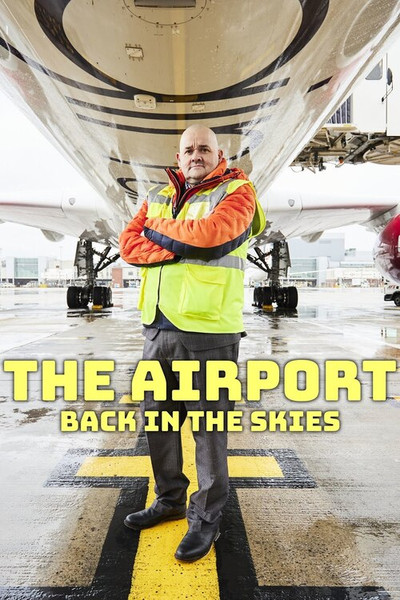Póster de The Airport: Back in the Skies