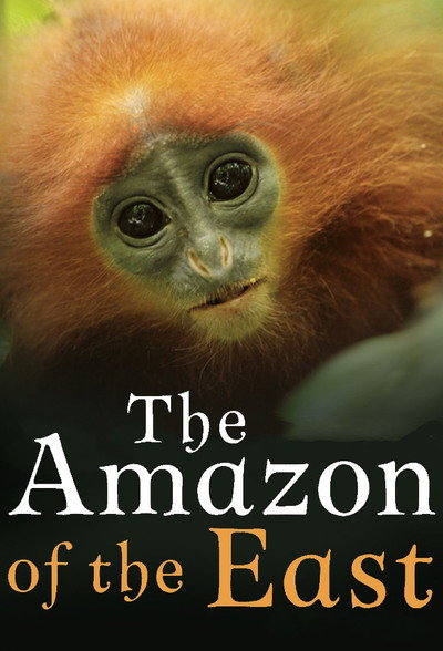 Póster de The Amazon of the East