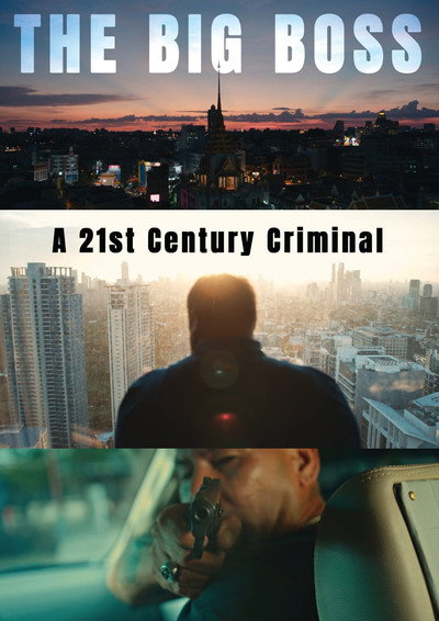 Póster de The Big Boss: A 21st Century Criminal