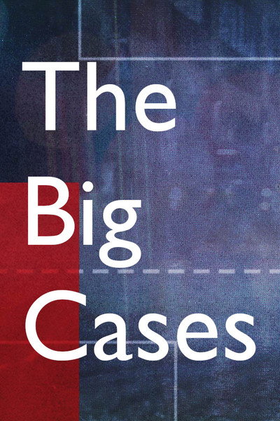 Póster de The Big Cases
