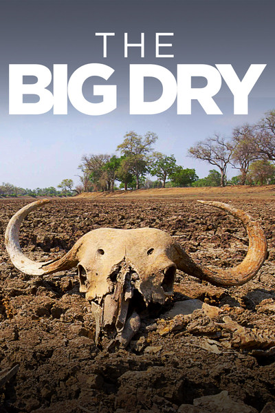 Póster de The Big Dry