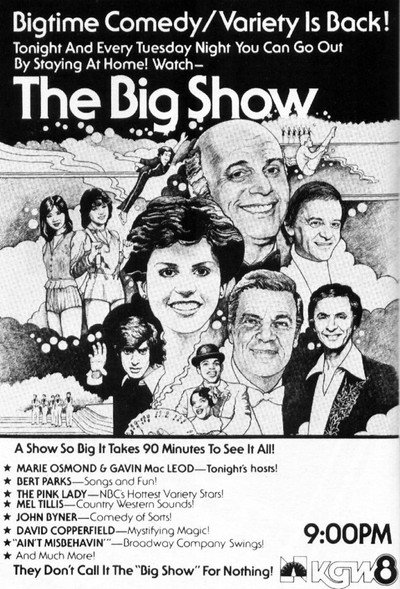 Póster de The Big Show