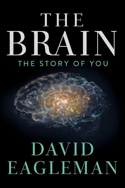 Póster de The Brain with Dr. David Eagleman