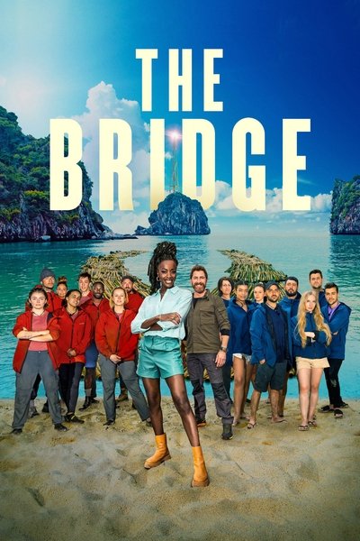 Póster de The Bridge