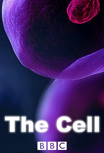 Póster de The Cell