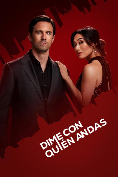 Póster de The Company You Keep
