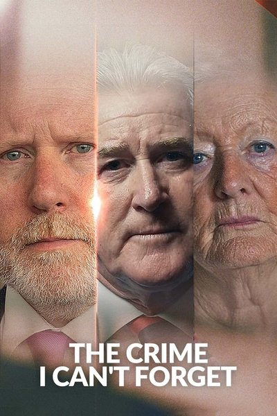 Póster de The Crime I Can't Forget