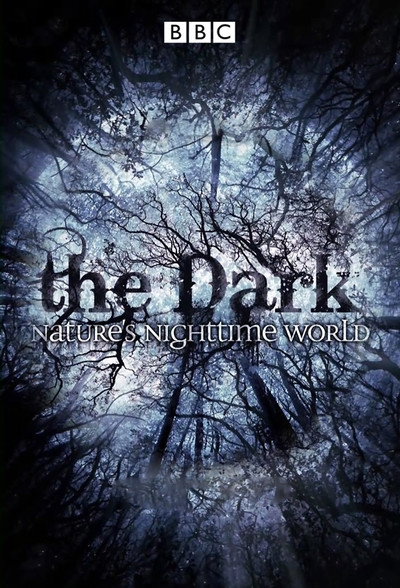 Póster de The Dark: Nature's Nighttime World