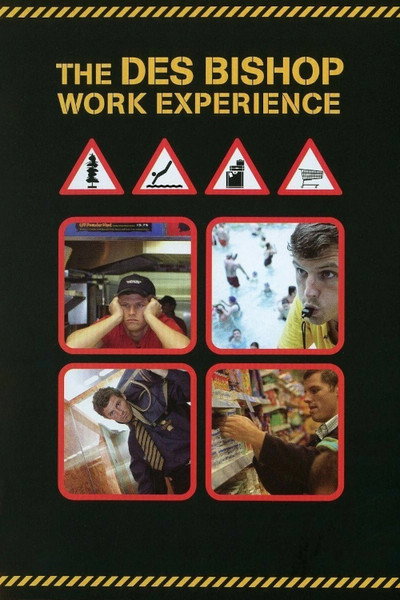 Póster de The Des Bishop Work Experience
