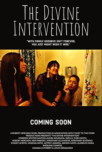Póster de The Divine Intervention