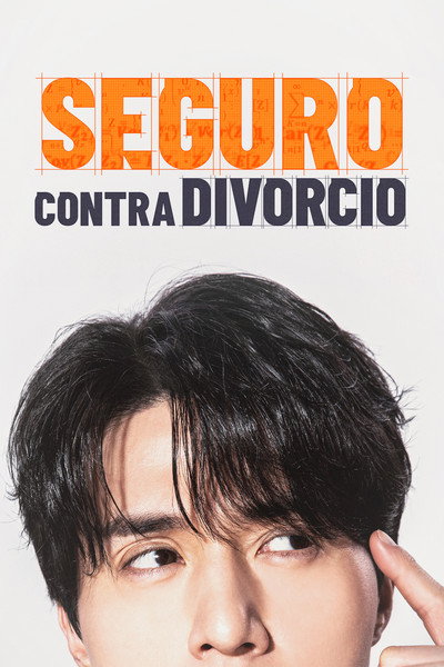 Póster de The Divorce Insurance